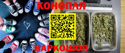 PSILOCYBIN Гуково