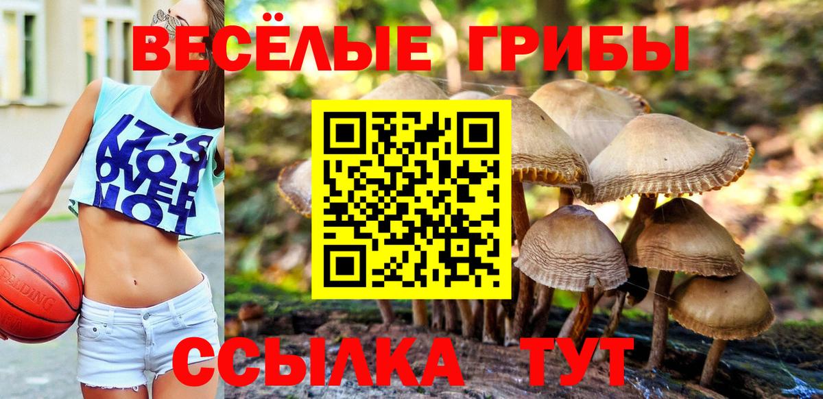 Галлюциногенные грибы прущие грибы Кунгур