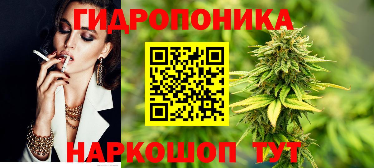 Кунгур  Канабис гибрид  Шишки марихуана план  Бошки Шишки гибрид  Вход с VPN 